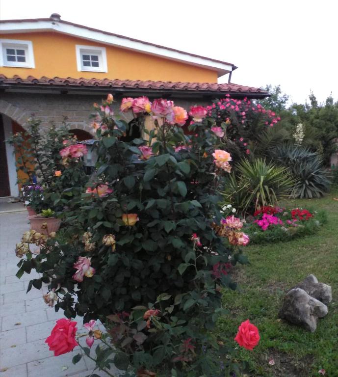 La casetta di samba - Ferienwohnung Anguillara Sabazia