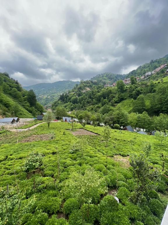 Serona Apart & Bungalow - B&B Çamlıhemşin