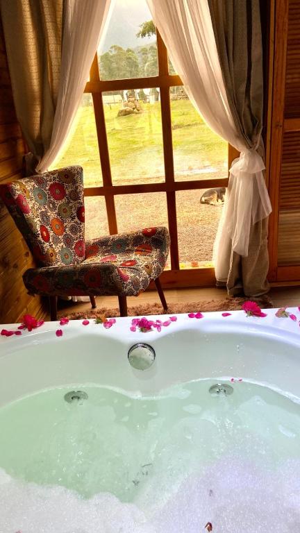 Figueira do Rio do Boi Com Hidromassagem - B&B Praia Grande