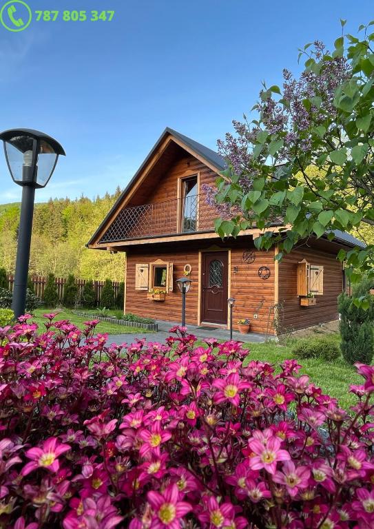 U Krysi - B&B Kojszówka