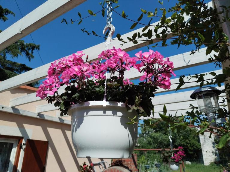 Apartments Anica with Parking - Bed and Breakfast Rovinj