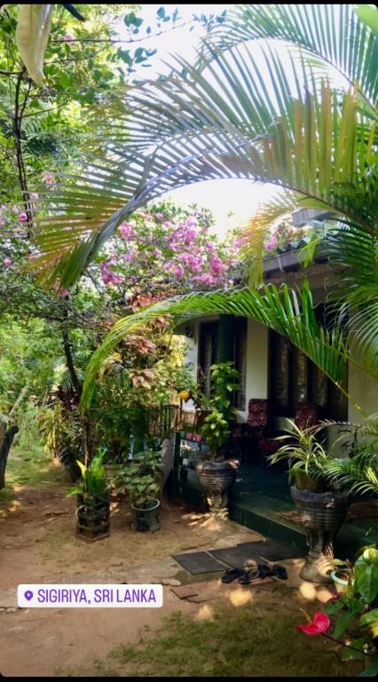 Village feel home stay - B&B Sigiriya