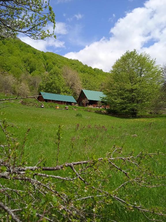 Naša kuća-Veruša - Ferienwohnung Veruša