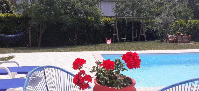 Villa Garden & Pool - Alojamentos - Ferienwohnung Celorico de Basto