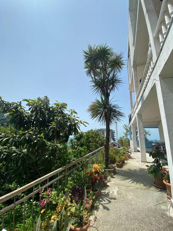 Temo's guest house in Kvariati - Ferienwohnung Kvariati