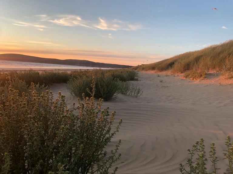 Ocean Drive BOUTIQUE Apartment Adults only Dog friendly - B&B Brean