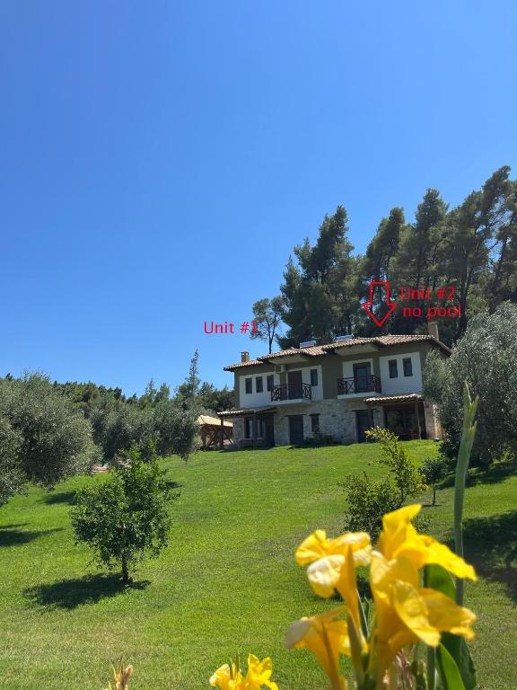 Paralia Homes peaceful 2 bedroom, unit # 2 - B&B Kryopigi