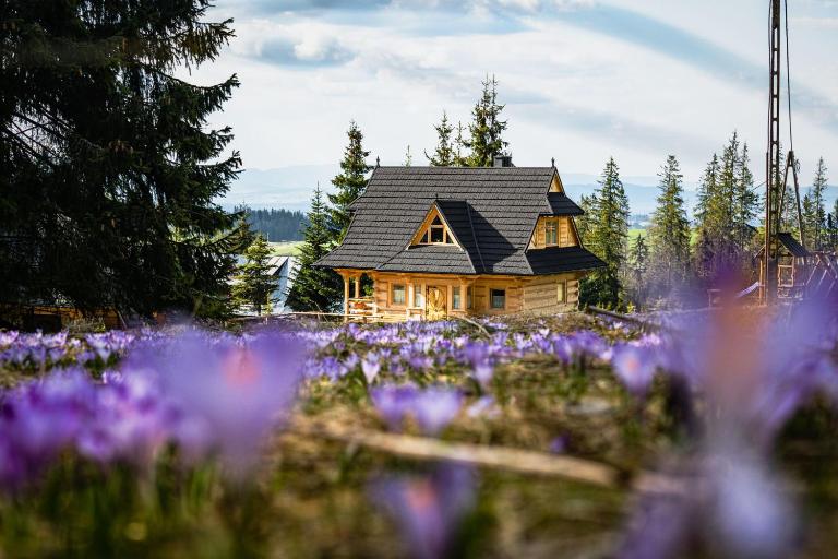 Obrochtowa Chata - B&B Kościelisko