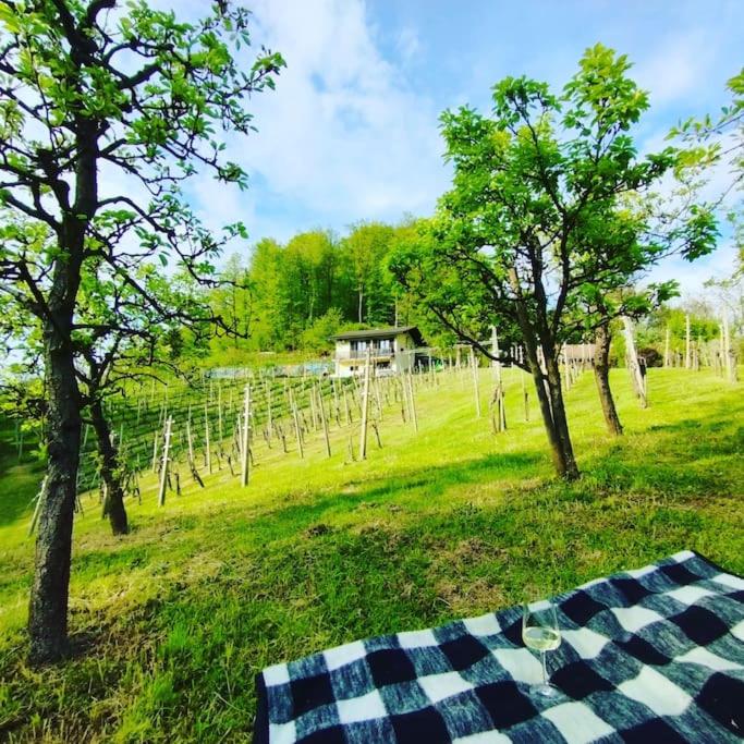 Mini hiška v objemu vinograda - Chambres d'hôtes Pristava pri Mestinju