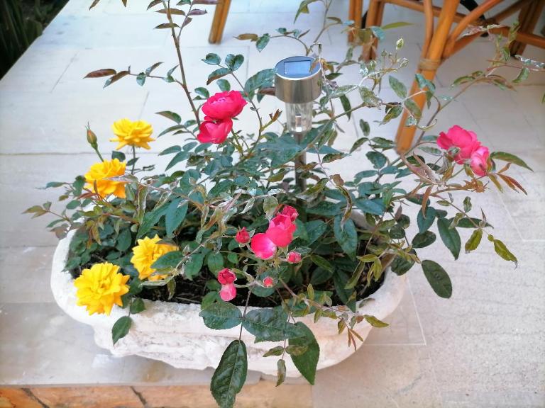 flower garden apartment - Ferienwohnung Benítses