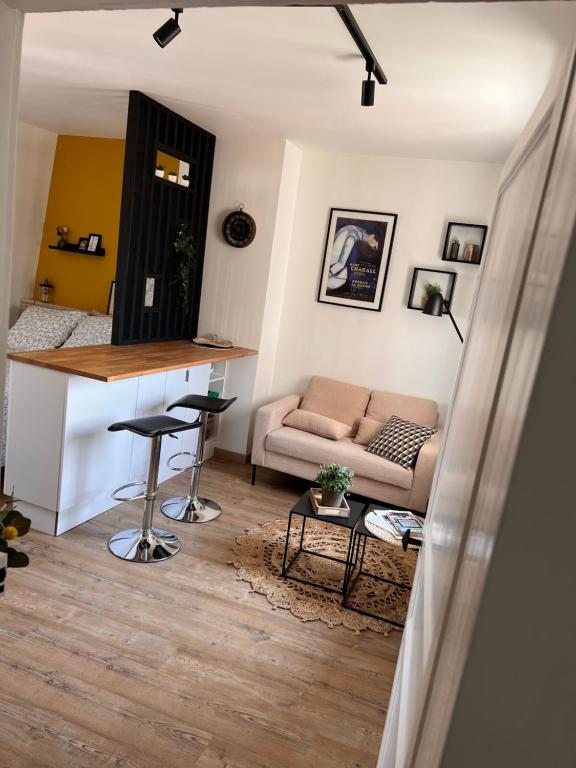 Le Jean Bart - Lille Votre T1 meublé cosy & lumineux Quartier République - Bed and Breakfast Rijsel