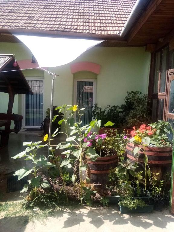 Kiskassa Vendégház - Ferienwohnung Kiskassa