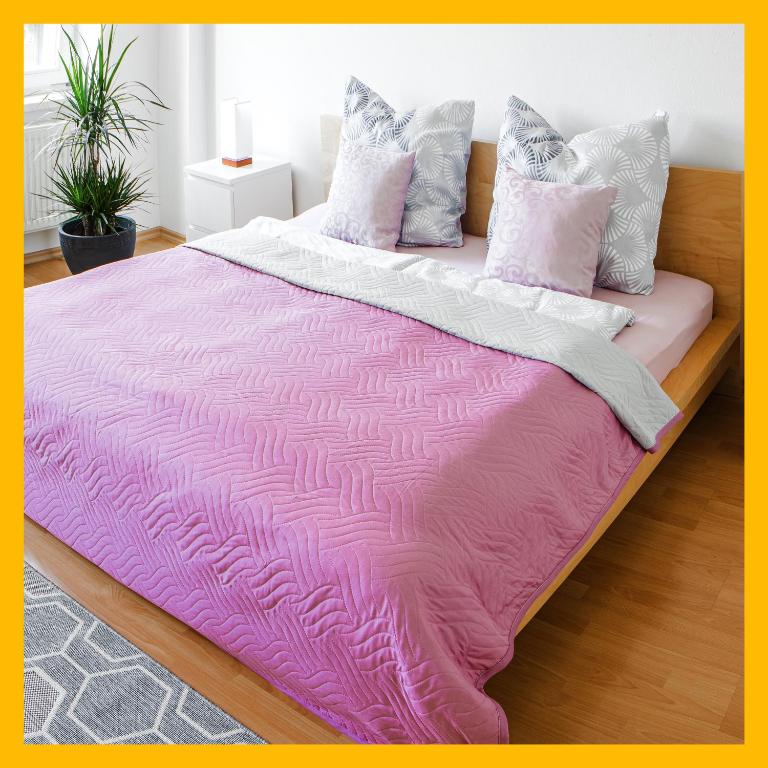 Bis 6 Personen - 5 Min zur Elbe, Helle Geräumige 2-Raum-Whg, Neustadt, Top Lage - B&B Dresden
