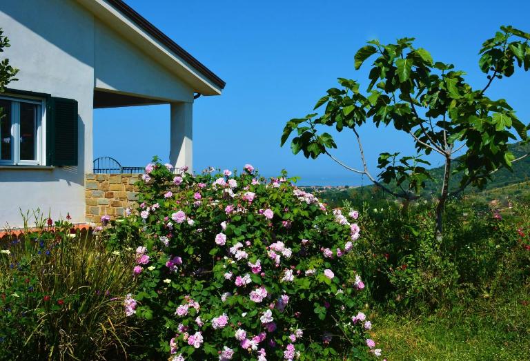 Casale Dionisia, Santa Maria di Castellabate, Appartamento Iris - B&B Castellabate