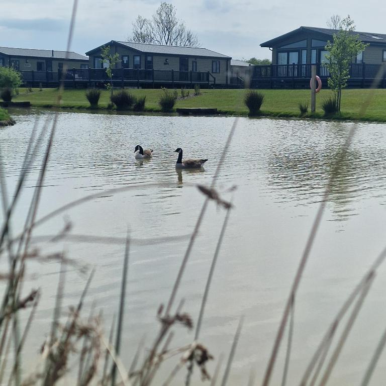 Home Farm Park - Static Caravans - B&B Burgh le Marsh