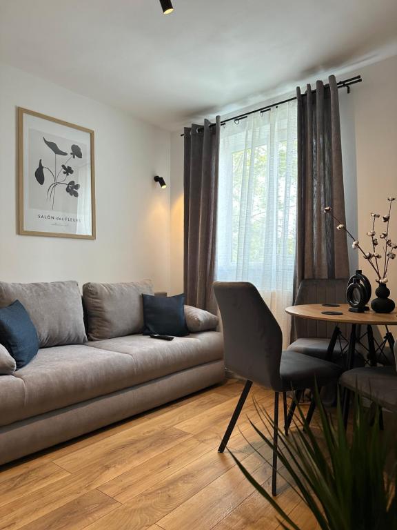 Modern Cozy Apartment Zalau - Bed and Breakfast Zalău