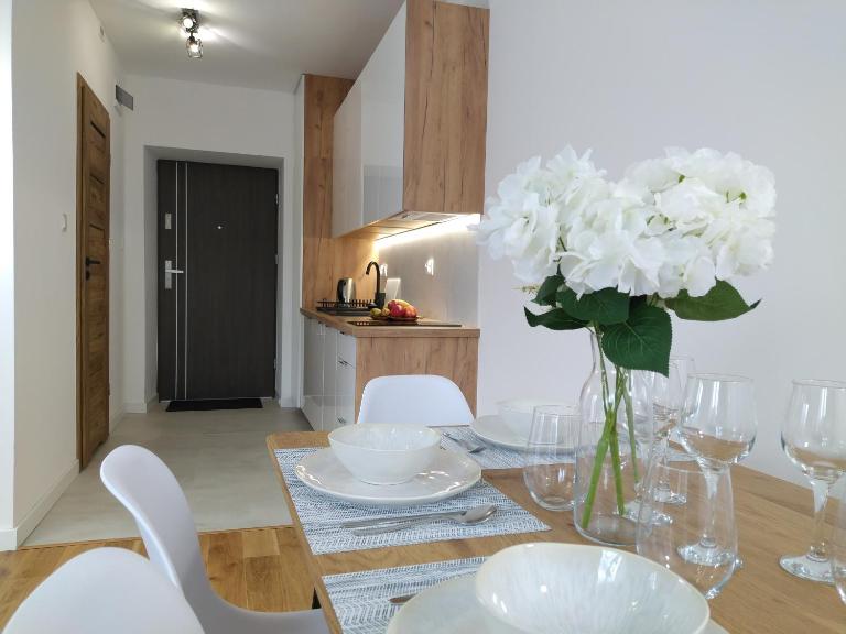 nowy Klimatyczny apartament z balkonem - Willa Sowia - Ferienwohnung Stronie Śląskie