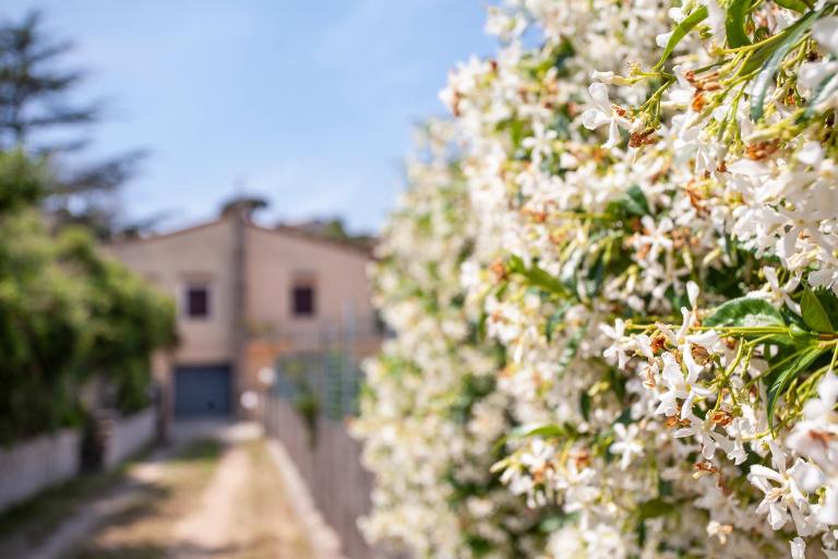 Villetta Capo Bianco - Goelba - B&B Portoferraio