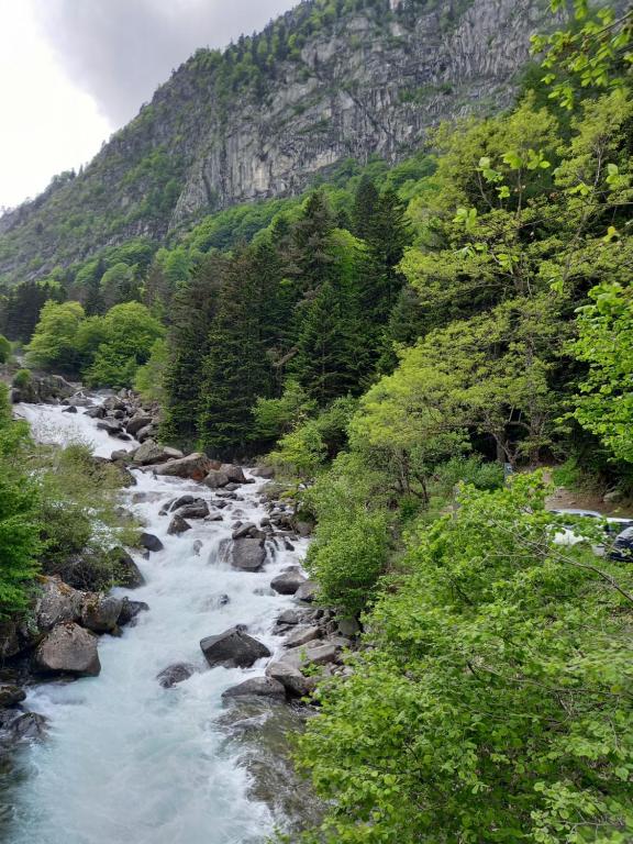 Gite l ecureuil - B&B Saint-Nectaire