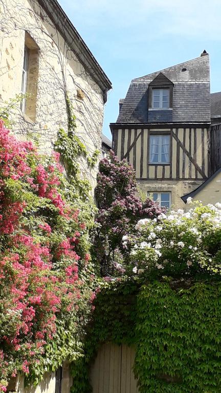 Petite Maison Romantique au calme, Cœur Historique, vue Ville et Jardin - B&B Le Mans