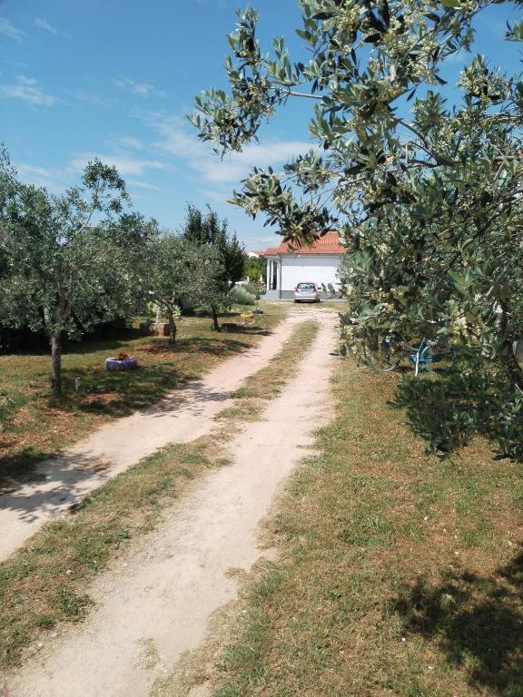 Apartman Grbić - B&B Vodnjan