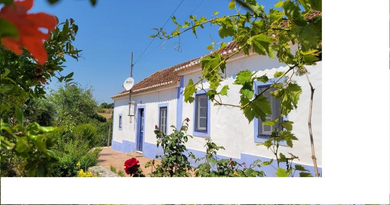 House of Moitelas - Bed and Breakfast Moitelas