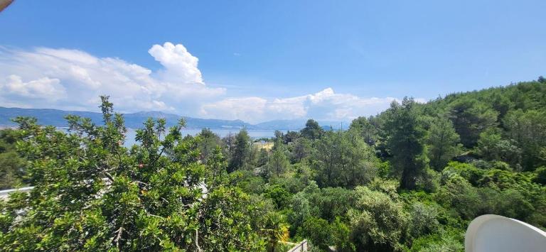 Jungle Jam - B&B Trogir