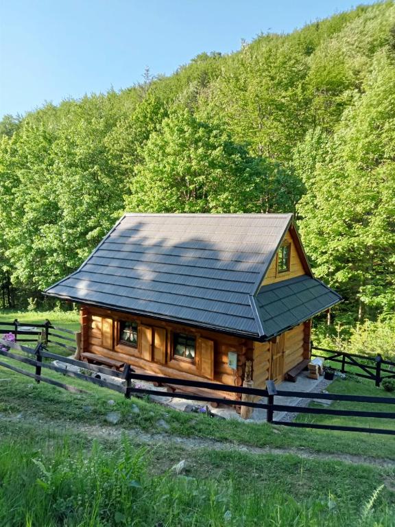 Leśna Głusza - Ferienwohnung Obidza