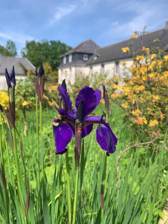 Les Gîtes du Manoir de Keryvon - Ferienwohnung Saint-Derrien