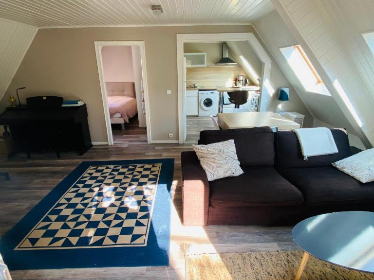 Joli 2 pièces, avec climatisation et grande terrasse, vue sur les toits, zone piétonne - B&B Haguenau