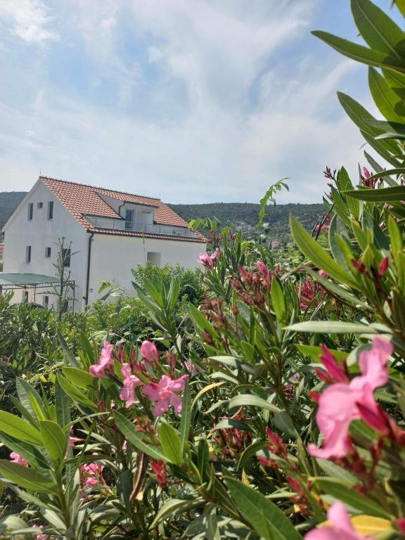 Apartmani Kamil - Bed and Breakfast Marina