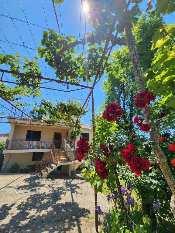 Gazdinstvo Đurović - Bed and Breakfast Dobra Voda