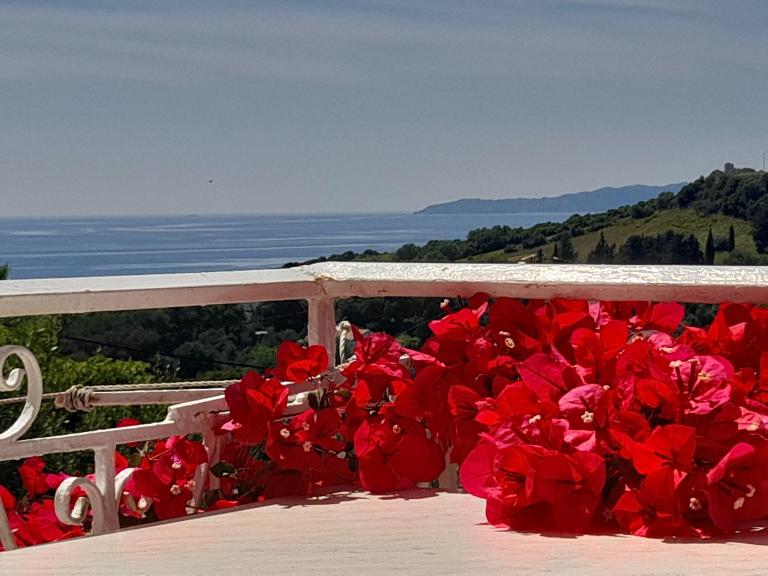 Angelos aparts - Bed and Breakfast Arillas