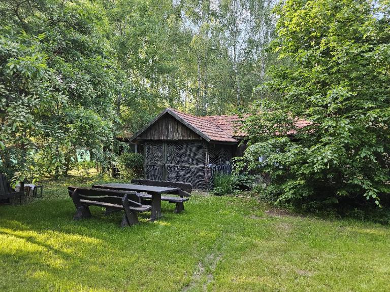Dom Pod Brzozami Lipinki Bory Tucholskie basen - psy, koty mile widziane! - B&B Lipinki