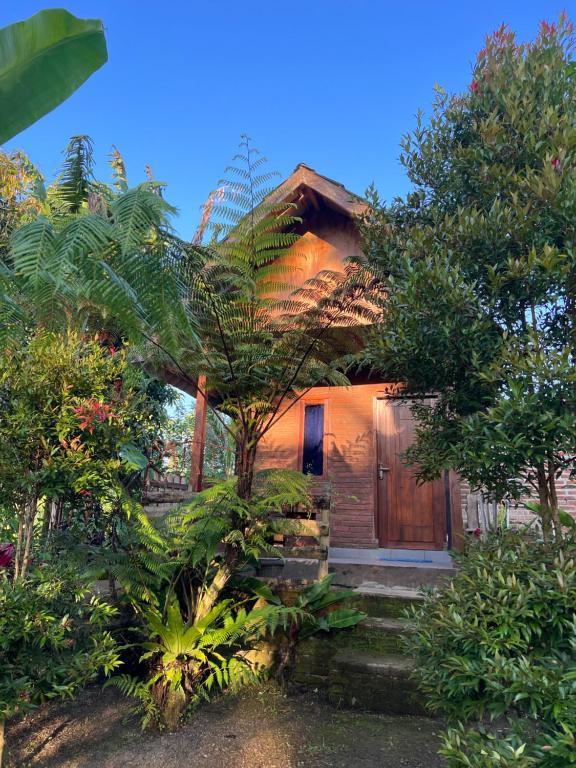 Tetebatu Sunrise Homestay - Bed and Breakfast Tetebatu