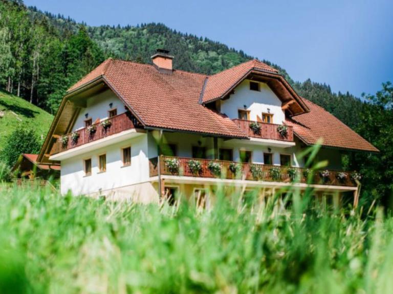 Na Logu - Farm Stay Ambrož Gregorc - B&B Solčava