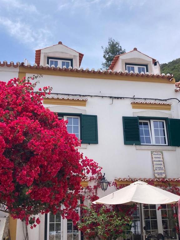 Casa da Nazaré - B&B Portinho da Arrábida
