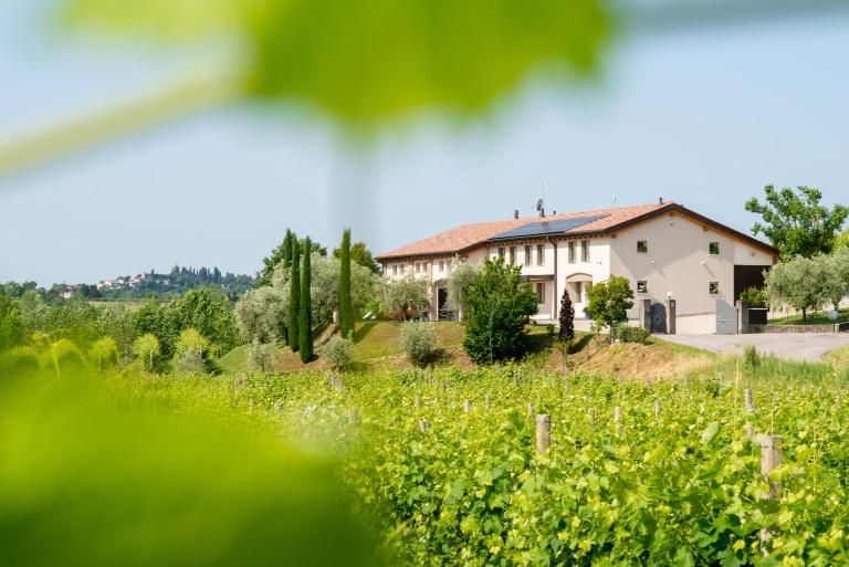 Relais La Dolce Vite - B&B San Vendemiano