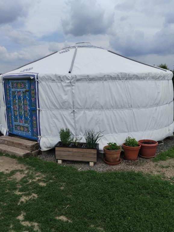 Jurta na zvířecí farmě - B&B Krasová