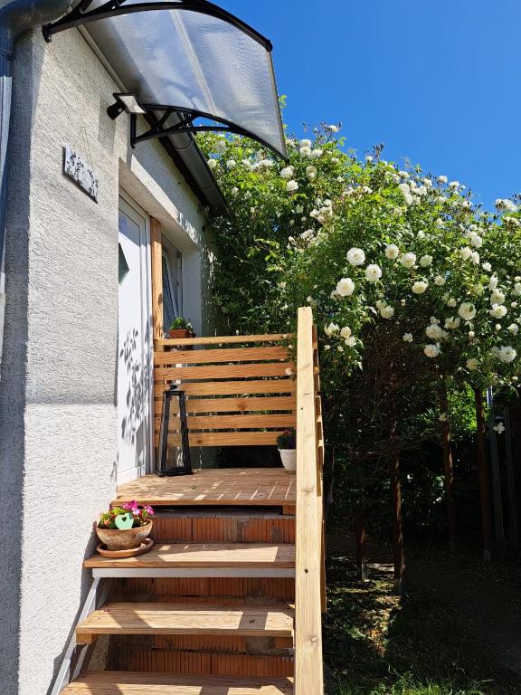 Ferienwohnung Rosengarten - Bed and Breakfast Ballenstedt