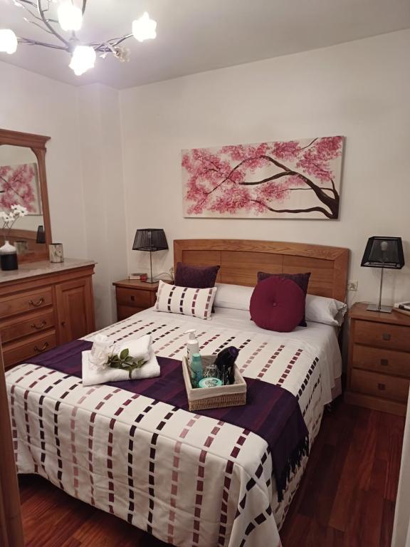 Apartamento Penedo, camino portugus-CON PLAZA DE GARAJE GRATIS - B&B Santiago di Compostela