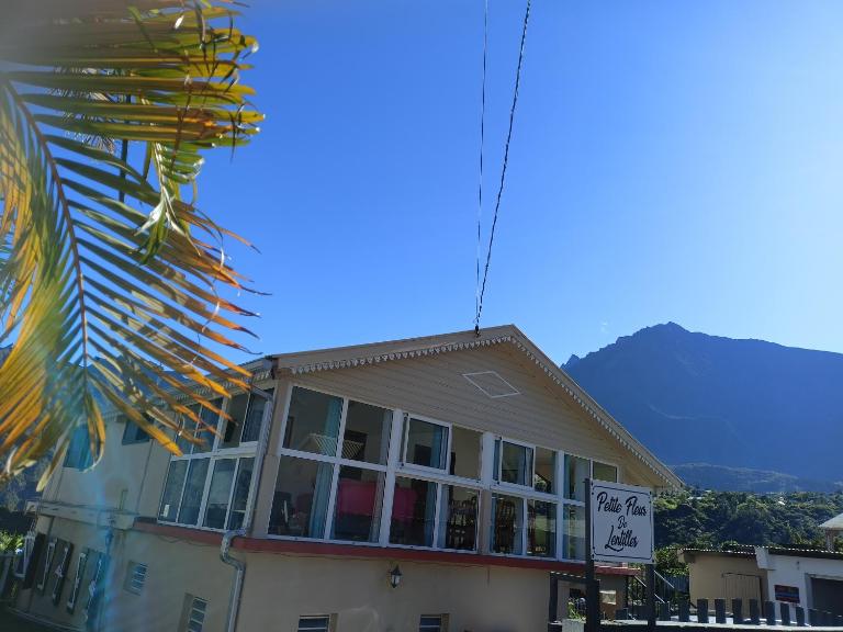 Petite fleur de lentilles - B&B Cilaos