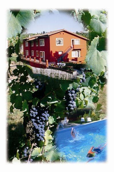 La Vignola - Ferienwohnung Barga