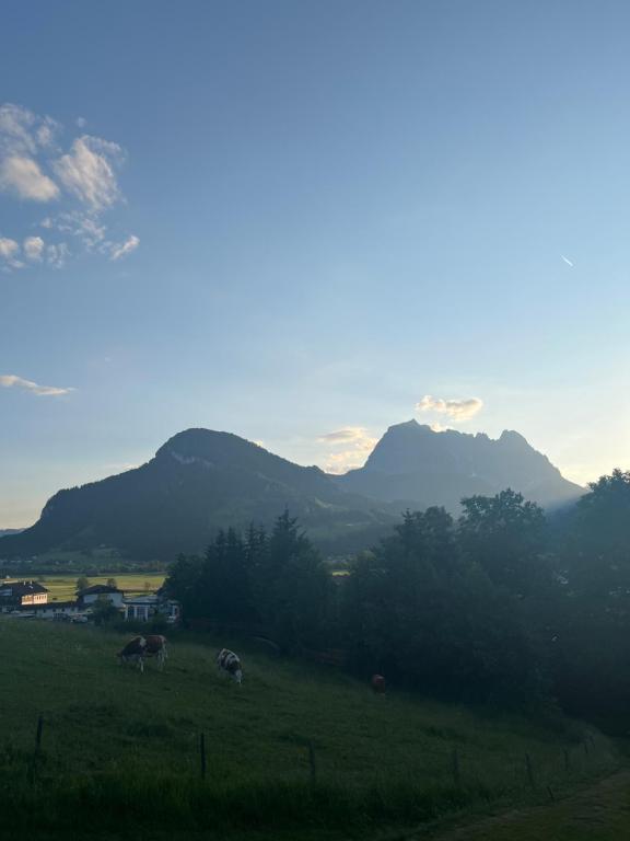 Tanjas Appartement - Bed and Breakfast Kirchdorf in Tirol
