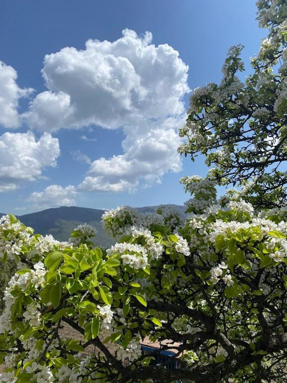 Bed & breakfast Gevorgyans' - B&B Tatev