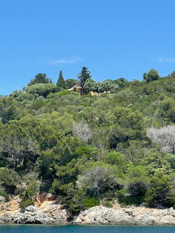 Apartment Monte Rosa - B&B Mali Lošinj