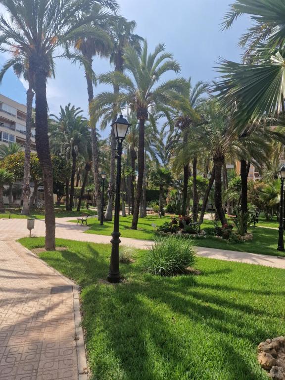First line sea apartments - Bed and Breakfast Torrevieja