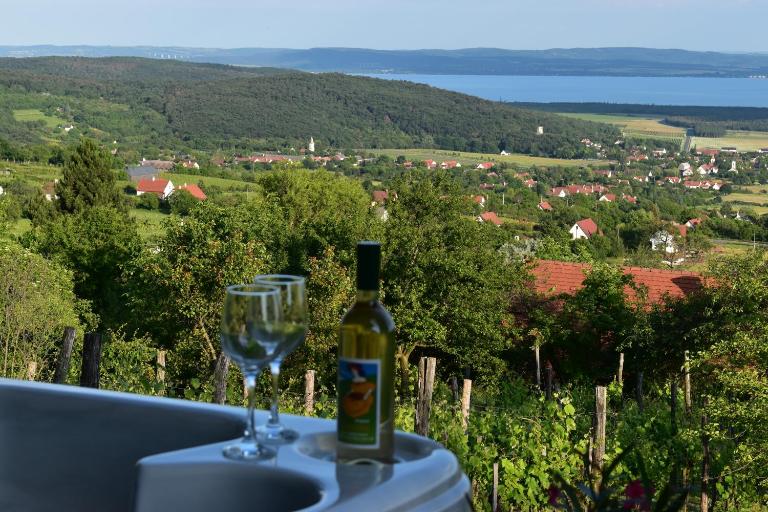 Panoráma Borbirtok - B&B Mencshely