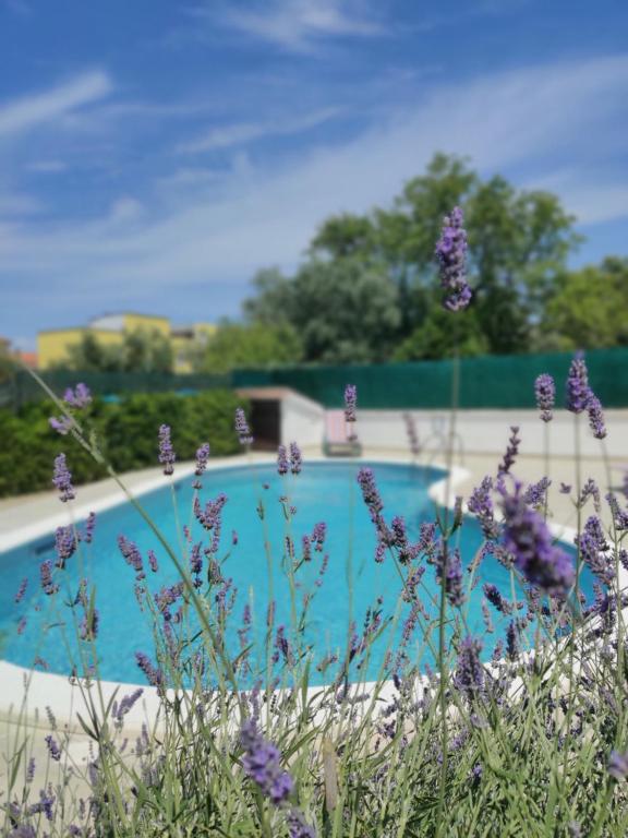 Dream vacation - Ferienwohnung Medulin
