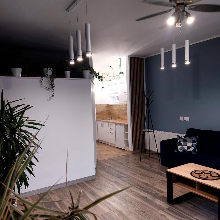 Apartament przy Białym Koniu - B&B Koszalin